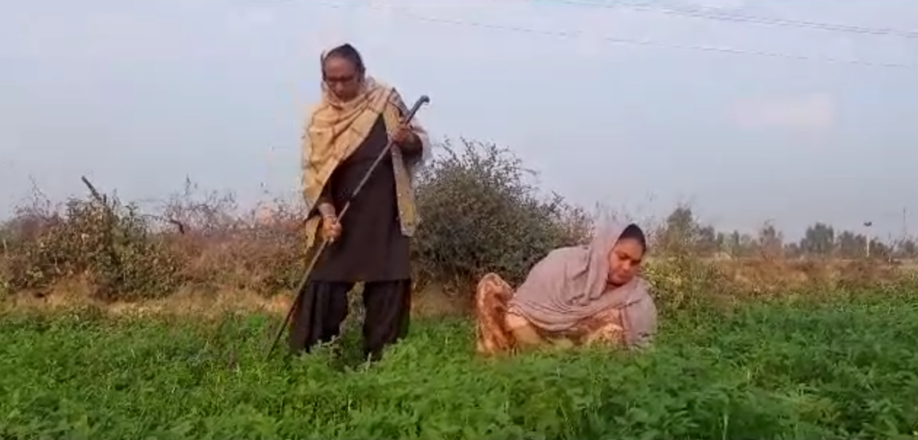 महिलाओं ने संभाली खेतों की जिम्मेदारी